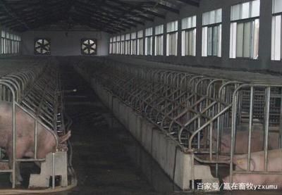 改造加固設(shè)計(jì)需要看整體指標(biāo)嗎（改造加固設(shè)計(jì)中的抗震設(shè)計(jì)要點(diǎn)）