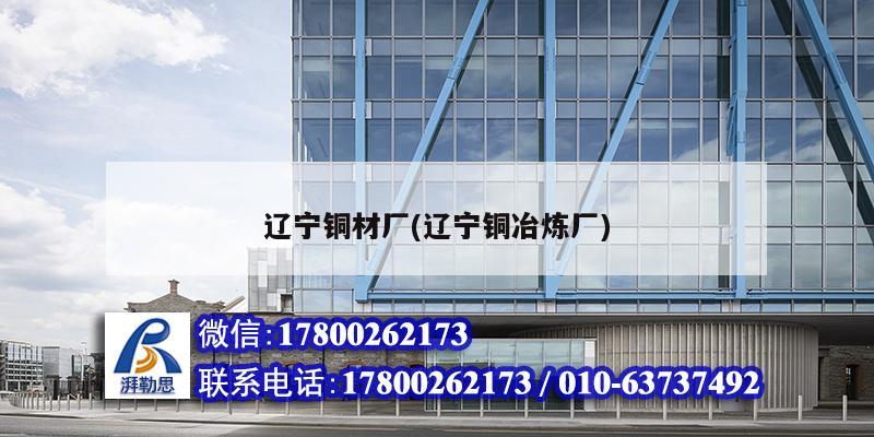 遼寧銅材廠(遼寧銅冶煉廠) 建筑效果圖設(shè)計(jì)