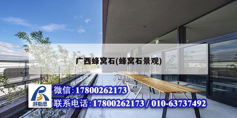 廣西蜂窩石(蜂窩石景觀) 鋼結(jié)構(gòu)網(wǎng)架設(shè)計(jì) 廣西蜂窩石(蜂窩石景觀) 鋼結(jié)構(gòu)網(wǎng)架設(shè)計(jì)