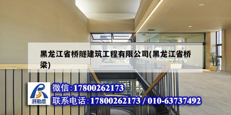 黑龍江省橋隧建筑工程有限公司(黑龍江省橋梁) 鋼結(jié)構(gòu)跳臺施工
