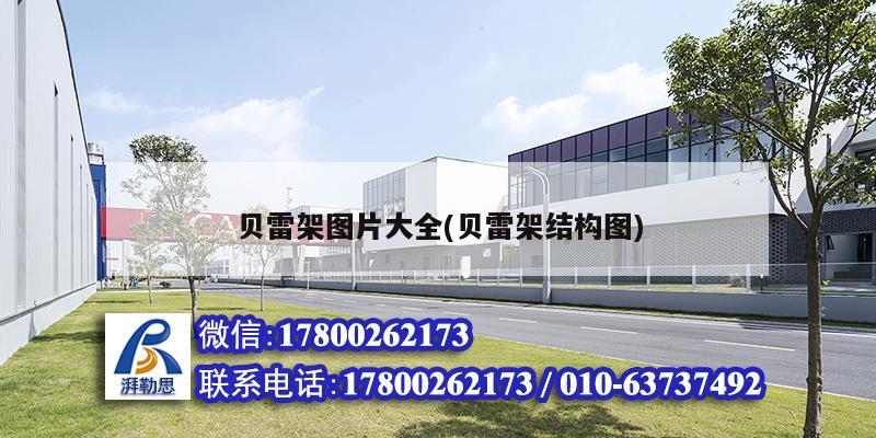 貝雷架圖片大全(貝雷架結(jié)構圖) 建筑施工圖施工