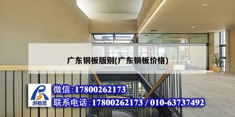 廣東銅板版別(廣東銅板價(jià)格) 鋼結(jié)構(gòu)跳臺(tái)設(shè)計(jì)