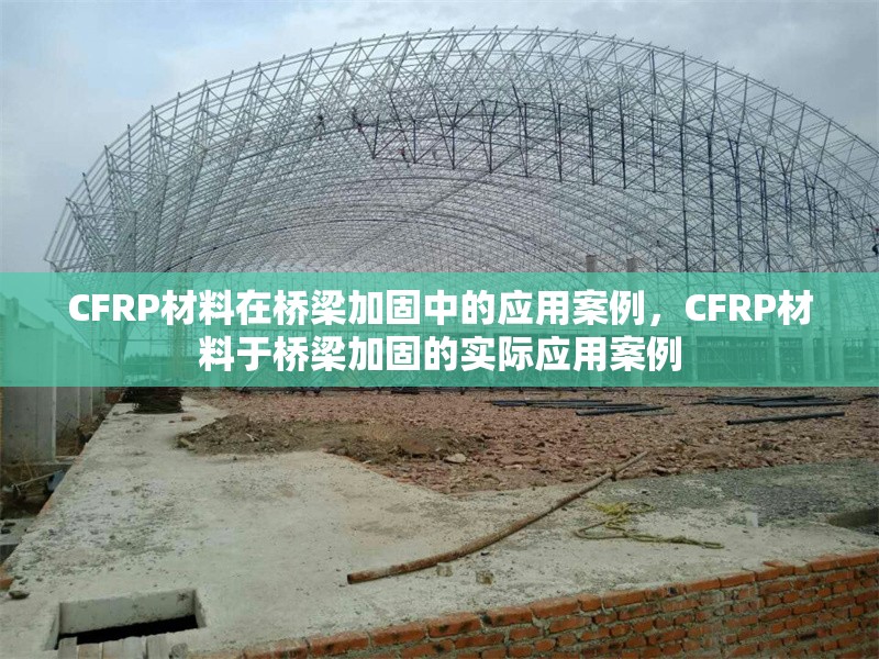 CFRP材料在橋梁加固中的應(yīng)用案例，CFRP材料于橋梁加固的實(shí)際應(yīng)用案例 行業(yè)新聞 第1張