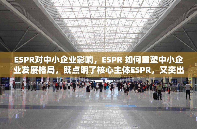 ESPR對(duì)中小企業(yè)影響，ESPR 如何重塑中小企業(yè)發(fā)展格局，既點(diǎn)明了核心主體ESPR，又突出了其對(duì)中小企業(yè)的影響這一關(guān)鍵內(nèi)容，重塑……格局這樣的表述也增添了一種動(dòng)態(tài)感和重要性，容易引發(fā)讀者對(duì) ESPR 在中小企業(yè)領(lǐng)域作用的深入探究興趣，