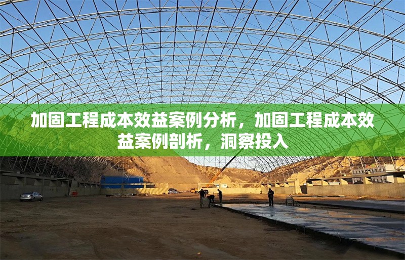 加固工程成本效益案例分析，加固工程成本效益案例剖析，洞察投入 行業(yè)新聞 第1張
