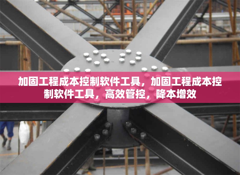 加固工程成本控制軟件工具，加固工程成本控制軟件工具，高效管控，降本增效 行業(yè)新聞 第1張