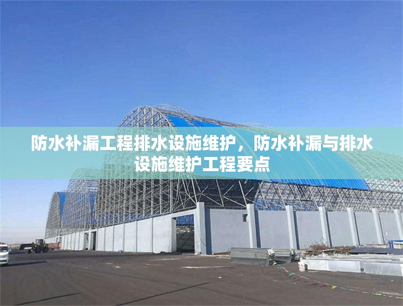 防水補(bǔ)漏工程排水設(shè)施維護(hù)，防水補(bǔ)漏與排水設(shè)施維護(hù)工程要點(diǎn) 行業(yè)新聞 第1張