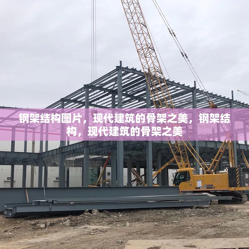 鋼架結構圖片，現代建筑的骨架之美，鋼架結構，現代建筑的骨架之美 行業(yè)新聞