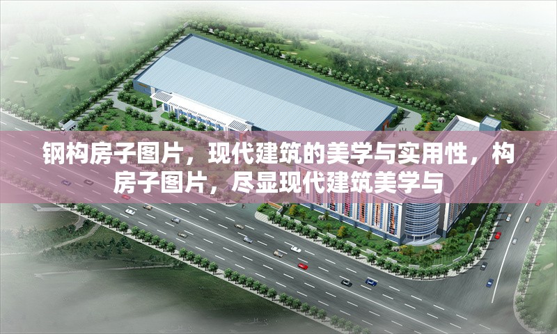 鋼構(gòu)房子圖片，現(xiàn)代建筑的美學(xué)與實(shí)用性，構(gòu)房子圖片，盡顯現(xiàn)代建筑美學(xué)與 行業(yè)新聞