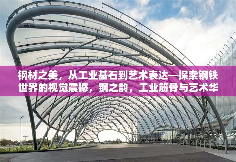 鋼材之美，從工業(yè)基石到藝術(shù)表達—探索鋼鐵世界的視覺震撼，鋼之韻，工業(yè)筋骨與藝術(shù)華彩的視覺交響