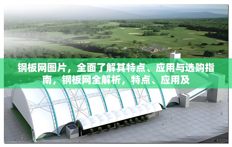 鋼板網圖片，全面了解其特點、應用與選購指南，鋼板網全解析，特點、應用及 行業(yè)新聞