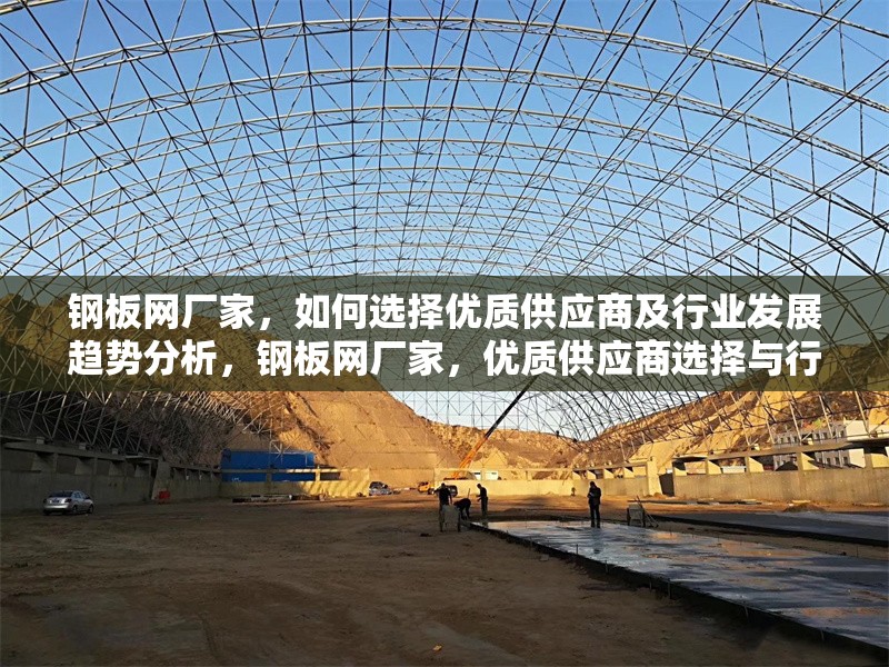 鋼板網(wǎng)廠家，如何選擇優(yōu)質(zhì)供應(yīng)商及行業(yè)發(fā)展趨勢分析，鋼板網(wǎng)廠家，優(yōu)質(zhì)供應(yīng)商選擇與行業(yè)