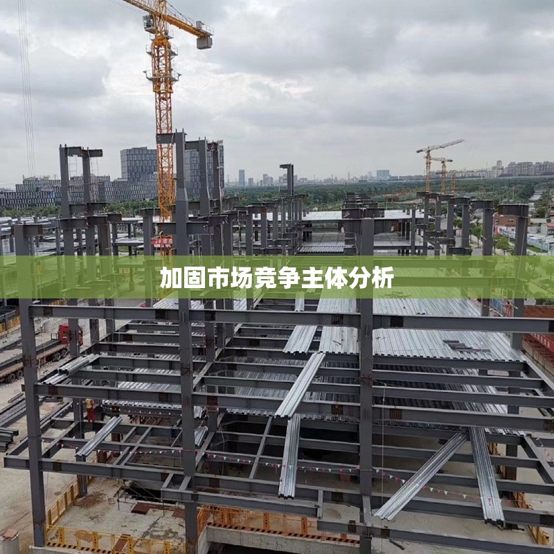 加固市場競爭主體分析