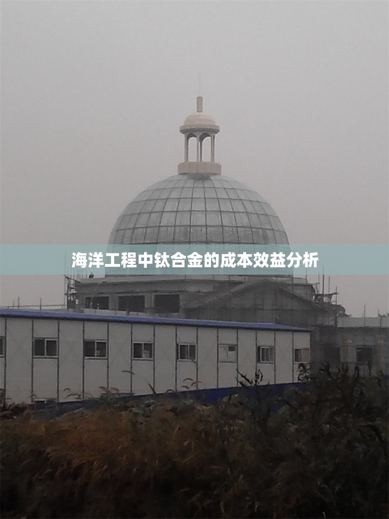 海洋工程中鈦合金的成本效益分析 行業(yè)新聞 第1張