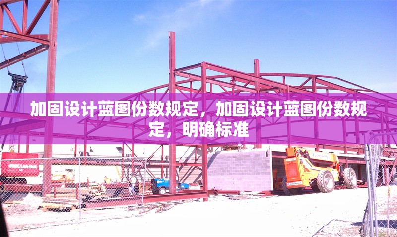 加固設(shè)計(jì)藍(lán)圖份數(shù)規(guī)定，加固設(shè)計(jì)藍(lán)圖份數(shù)規(guī)定，明確標(biāo)準(zhǔn)