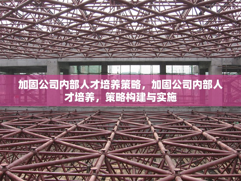 加固公司內(nèi)部人才培養(yǎng)策略，加固公司內(nèi)部人才培養(yǎng)，策略構(gòu)建與實(shí)施