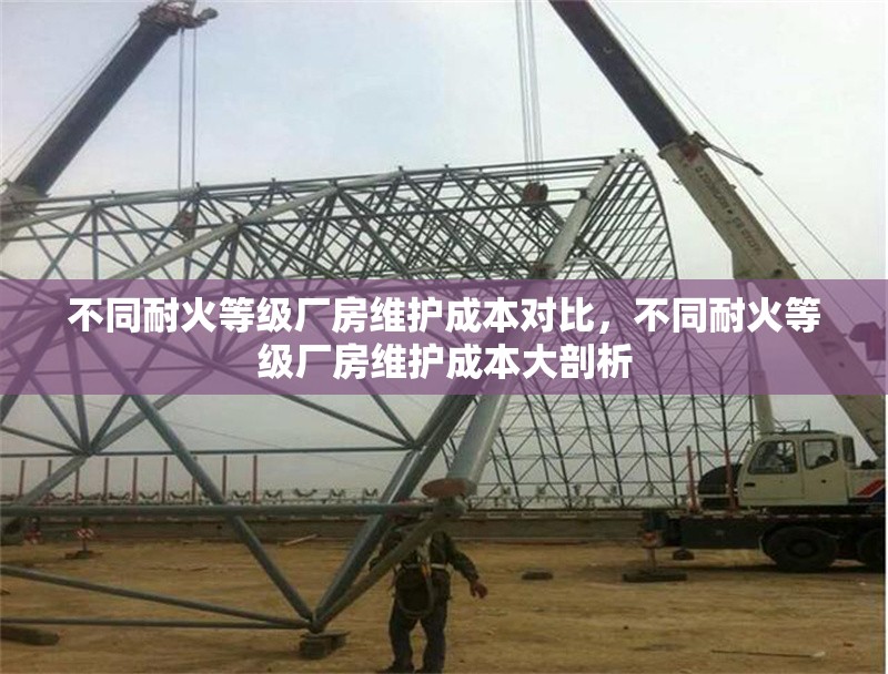 不同耐火等級(jí)廠房維護(hù)成本對(duì)比，不同耐火等級(jí)廠房維護(hù)成本大剖析