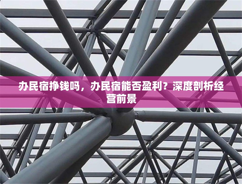 辦民宿掙錢嗎，辦民宿能否盈利？深度剖析經(jīng)營前景 行業(yè)新聞 第1張