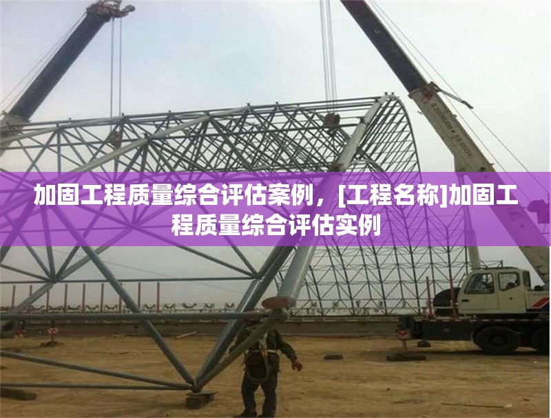 加固工程質(zhì)量綜合評估案例，[工程名稱]加固工程質(zhì)量綜合評估實例