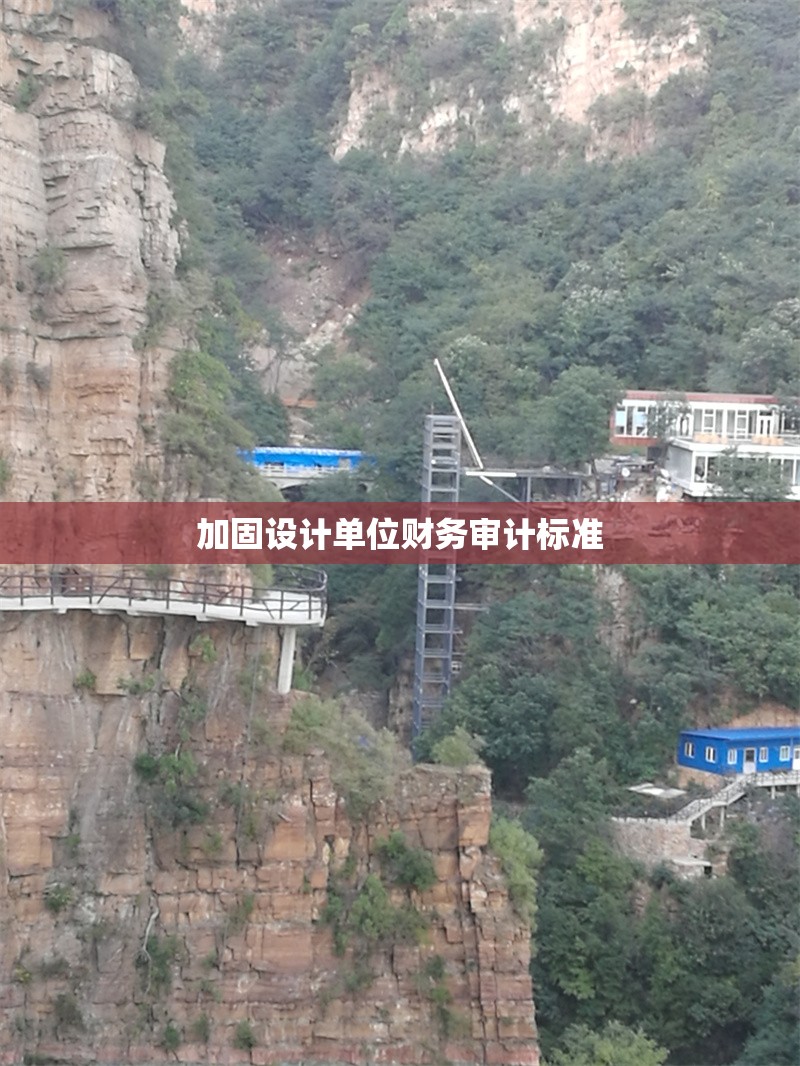 加固設計單位財務審計標準