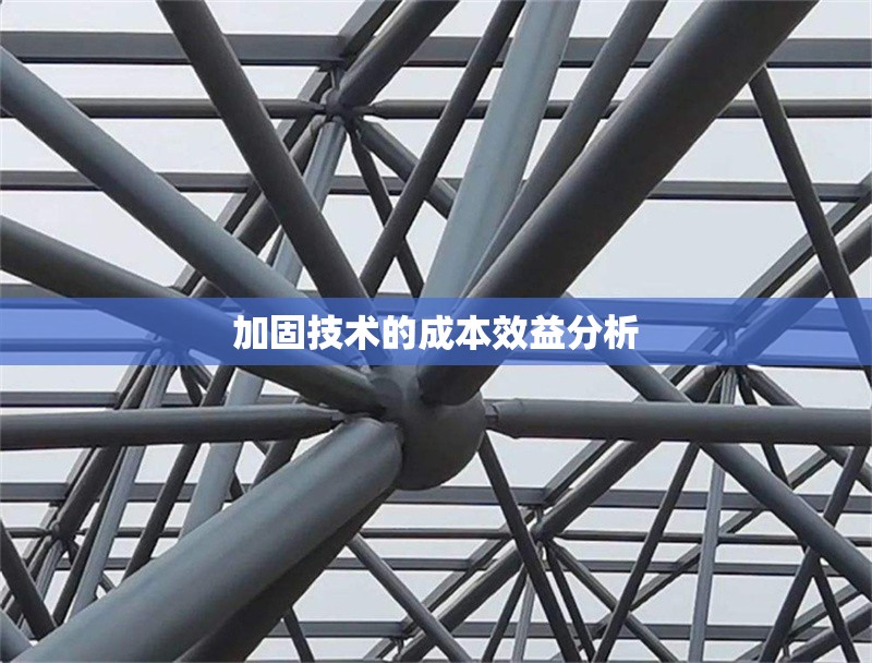 加固技術(shù)的成本效益分析