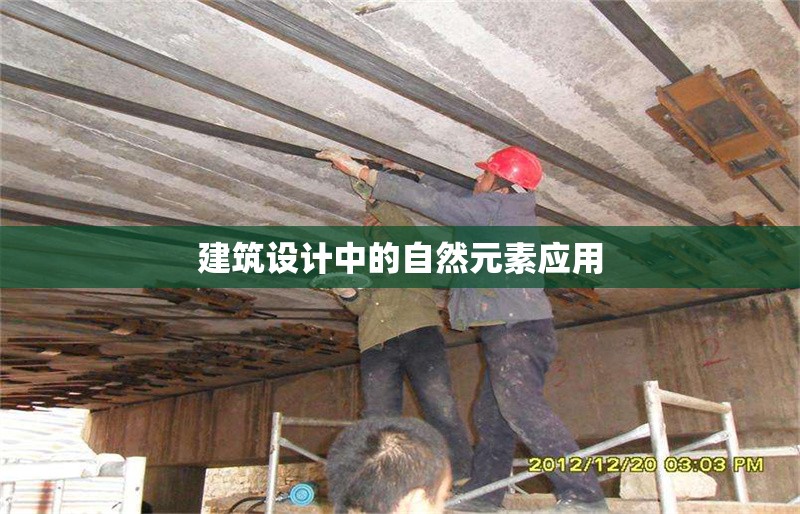 建筑設(shè)計中的自然元素應(yīng)用 行業(yè)新聞 第1張