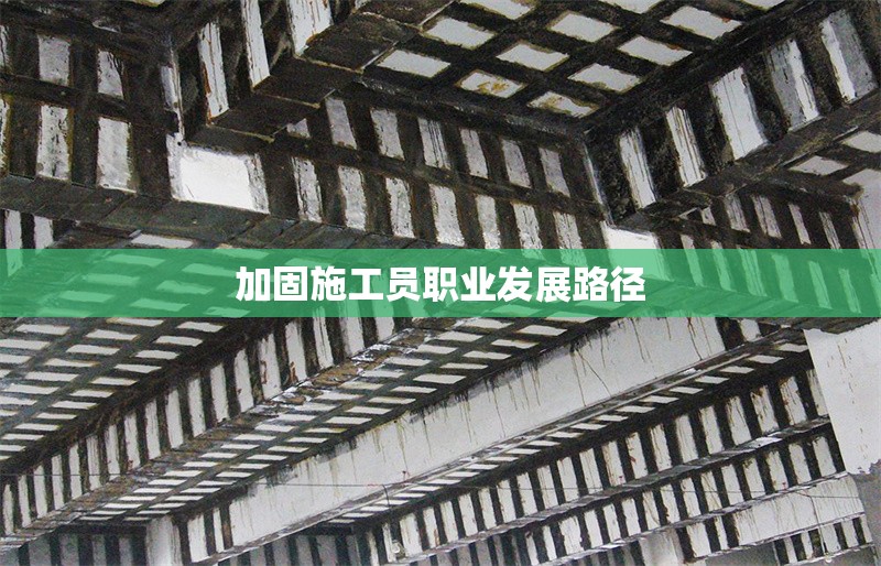 加固施工員職業(yè)發(fā)展路徑 行業(yè)新聞 第1張 加固施工員職業(yè)發(fā)展路徑 行業(yè)新聞 第1張