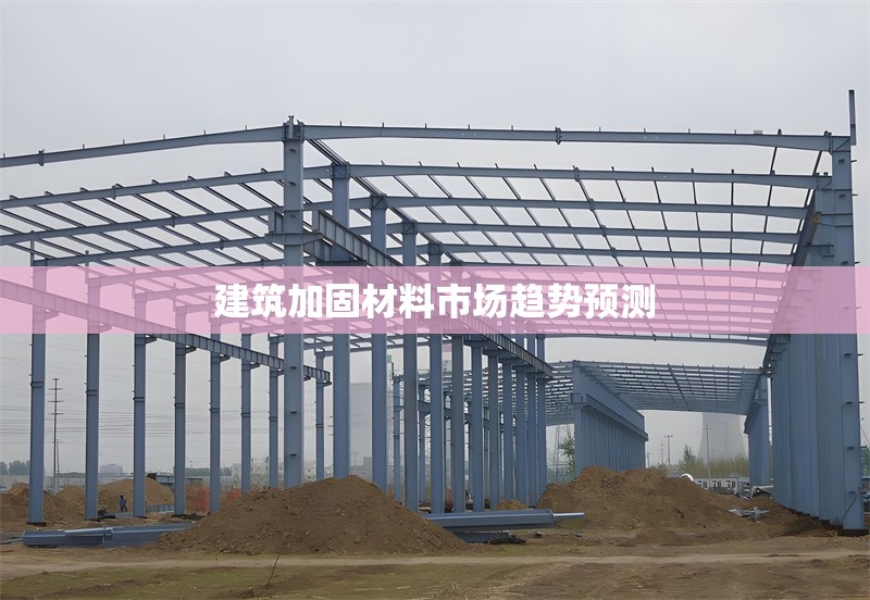 建筑加固材料市場趨勢預(yù)測 行業(yè)新聞 第1張