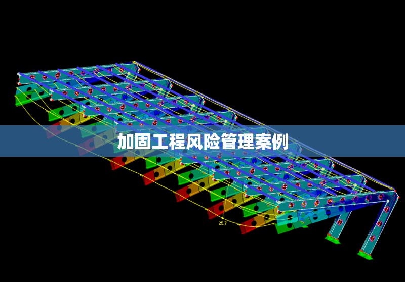 加固工程風(fēng)險管理案例 行業(yè)新聞 第1張