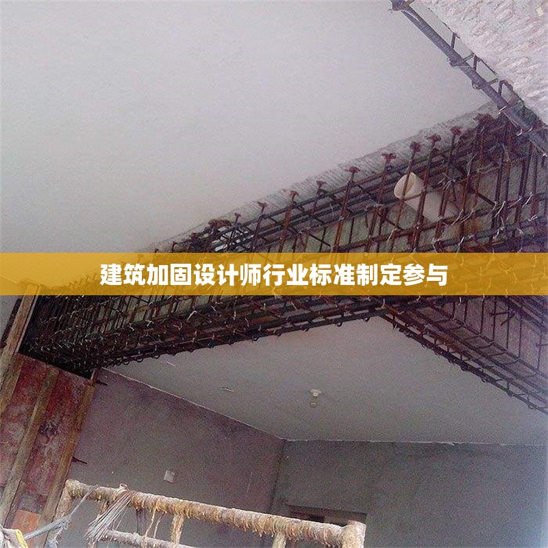 建筑加固設(shè)計(jì)師行業(yè)標(biāo)準(zhǔn)制定參與 行業(yè)新聞 第1張 建筑加固設(shè)計(jì)師行業(yè)標(biāo)準(zhǔn)制定參與 行業(yè)新聞 第1張