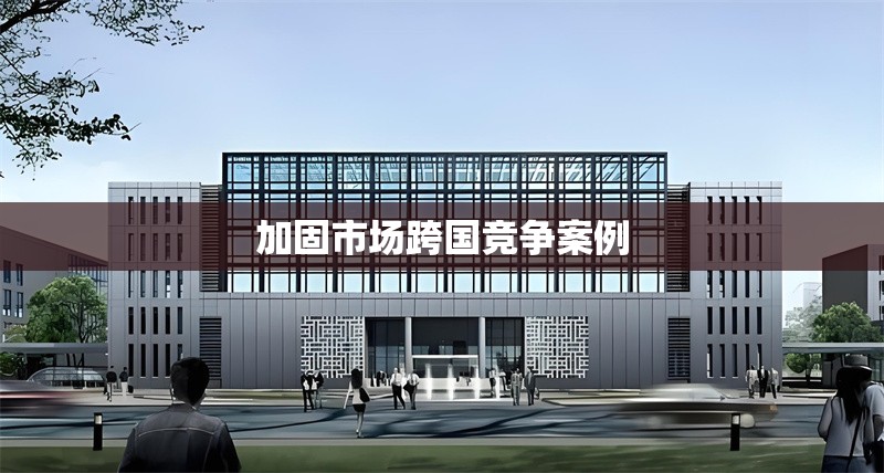 加固市場(chǎng)跨國(guó)競(jìng)爭(zhēng)案例 行業(yè)新聞 第1張