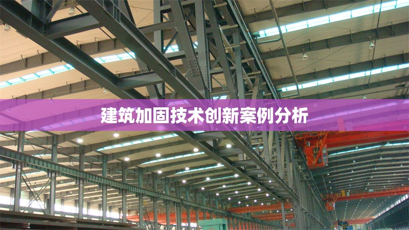 建筑加固技術(shù)創(chuàng)新案例分析