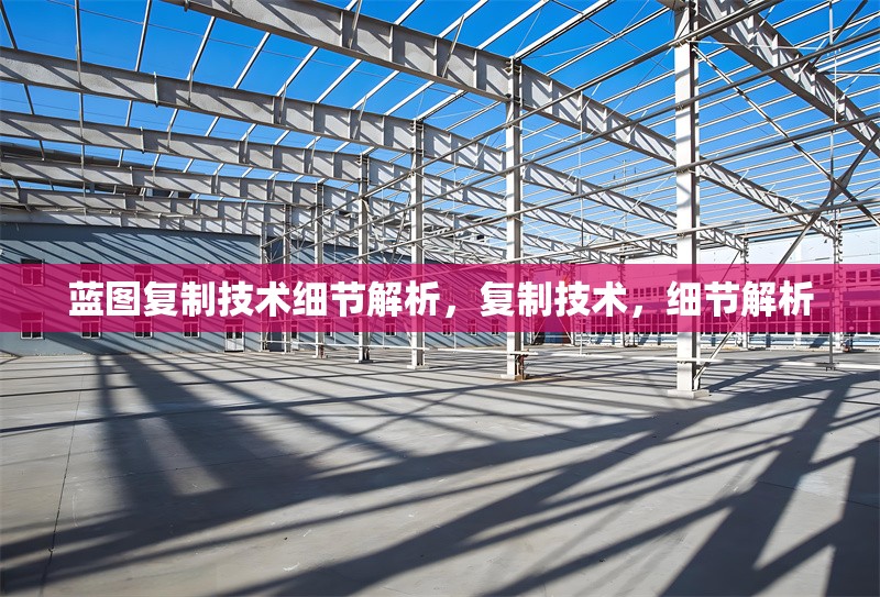 藍(lán)圖復(fù)制技術(shù)細(xì)節(jié)解析，復(fù)制技術(shù)，細(xì)節(jié)解析