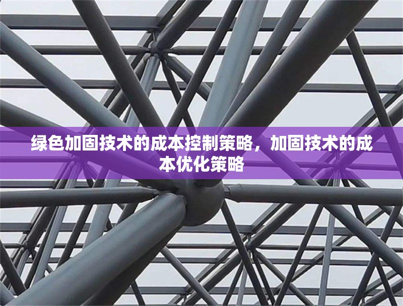 綠色加固技術(shù)的成本控制策略，加固技術(shù)的成本優(yōu)化策略