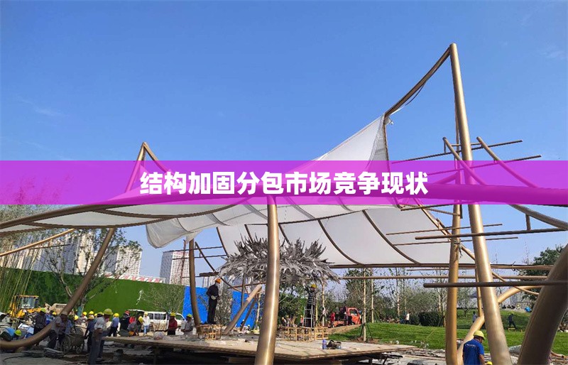 結(jié)構(gòu)加固分包市場競爭現(xiàn)狀