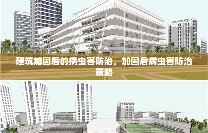 建筑加固后的病蟲害防治，加固后病蟲害防治策略