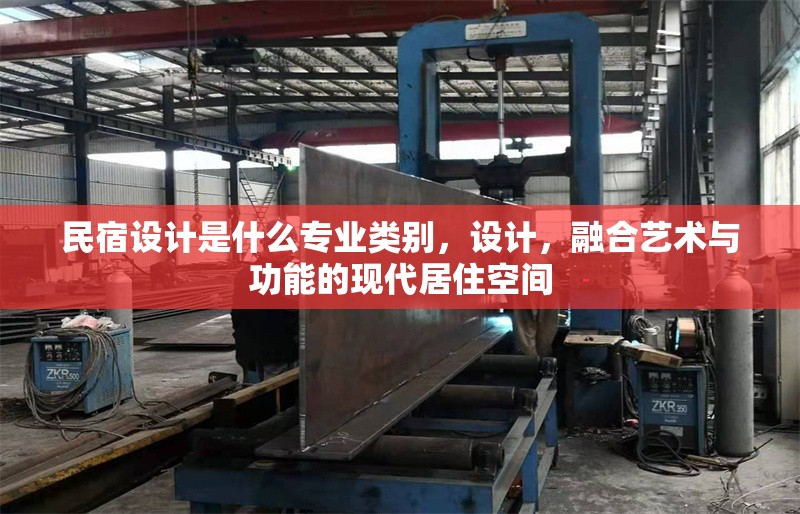 民宿設(shè)計(jì)是什么專業(yè)類別，設(shè)計(jì)，融合藝術(shù)與功能的現(xiàn)代居住空間