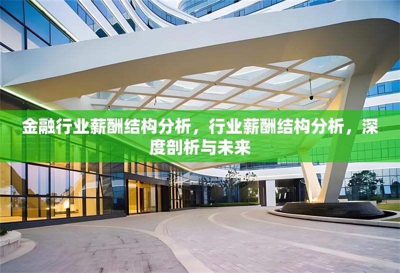 金融行業(yè)薪酬結(jié)構(gòu)分析，行業(yè)薪酬結(jié)構(gòu)分析，深度剖析與未來