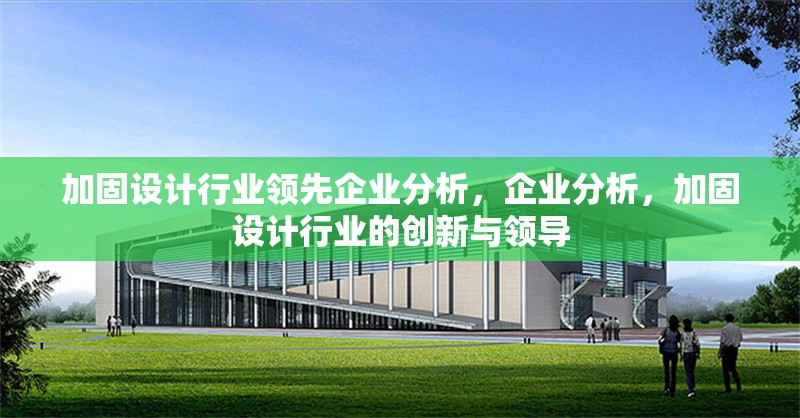 加固設(shè)計(jì)行業(yè)領(lǐng)先企業(yè)分析，企業(yè)分析，加固設(shè)計(jì)行業(yè)的創(chuàng)新與領(lǐng)導(dǎo)