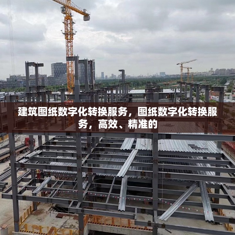 建筑圖紙數(shù)字化轉(zhuǎn)換服務(wù)，圖紙數(shù)字化轉(zhuǎn)換服務(wù)，高效、精準(zhǔn)的