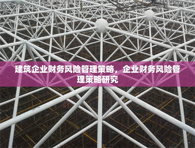 建筑企業(yè)財務(wù)風(fēng)險管理策略，企業(yè)財務(wù)風(fēng)險管理策略研究