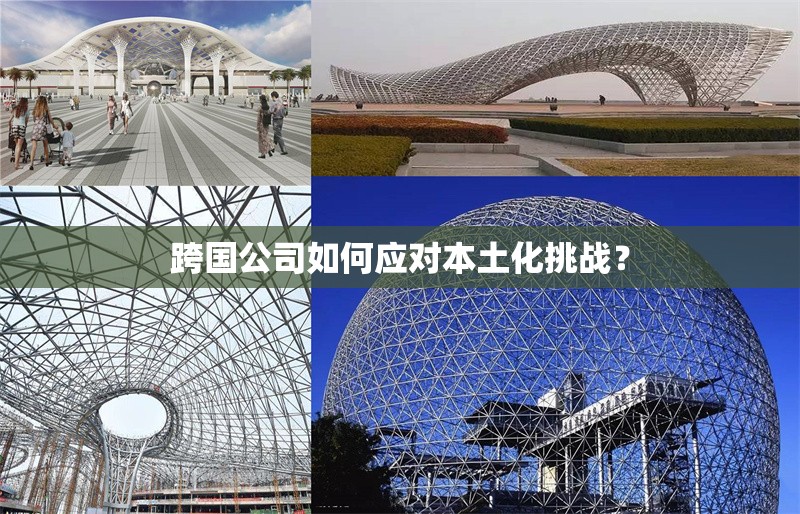 跨國(guó)公司如何應(yīng)對(duì)本土化挑戰(zhàn)？