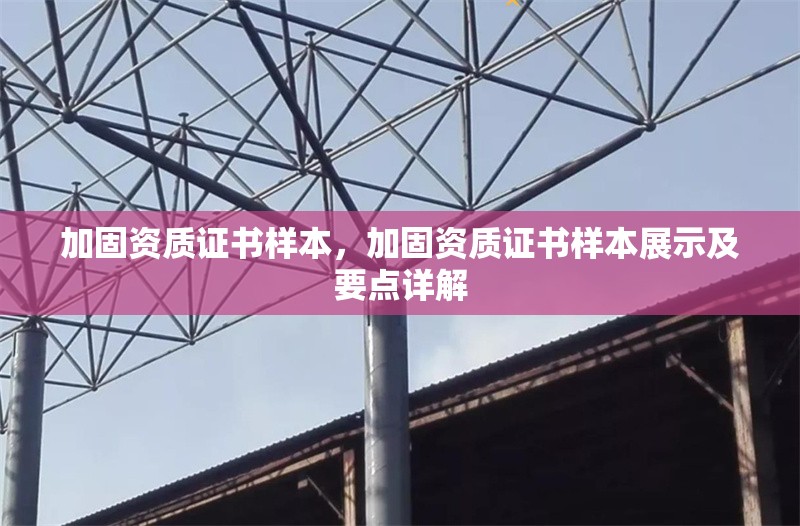 加固資質(zhì)證書樣本，加固資質(zhì)證書樣本展示及要點(diǎn)詳解 行業(yè)新聞 第3張