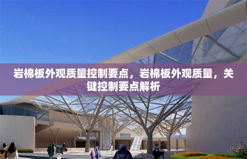 巖棉板外觀質(zhì)量控制要點，巖棉板外觀質(zhì)量，關(guān)鍵控制要點解析 行業(yè)新聞 第6張