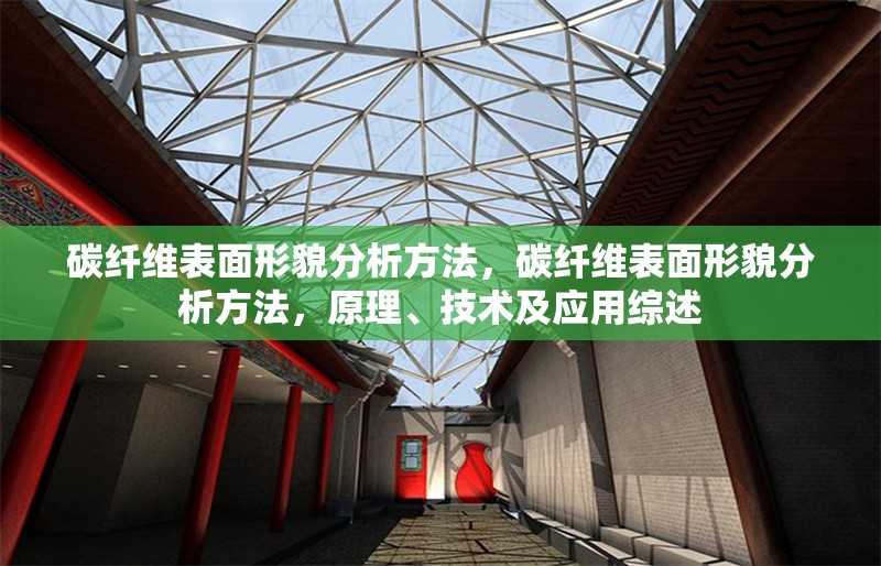 碳纖維表面形貌分析方法，碳纖維表面形貌分析方法，原理、技術(shù)及應(yīng)用綜述 行業(yè)新聞 第1張