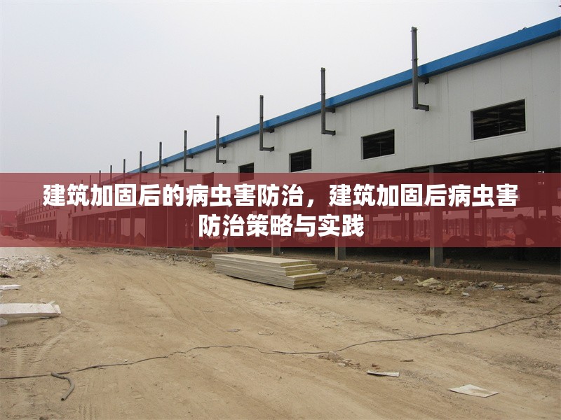 建筑加固后的病蟲害防治，建筑加固后病蟲害防治策略與實踐 行業(yè)新聞 第6張