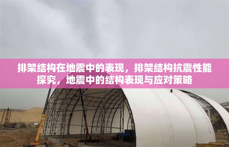 排架結(jié)構(gòu)在地震中的表現(xiàn)，排架結(jié)構(gòu)抗震性能探究，地震中的結(jié)構(gòu)表現(xiàn)與應(yīng)對策略 行業(yè)新聞 第6張