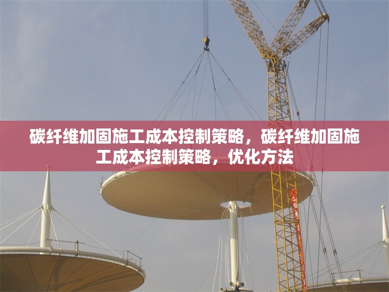 碳纖維加固施工成本控制策略，碳纖維加固施工成本控制策略，優(yōu)化方法 行業(yè)新聞 第6張