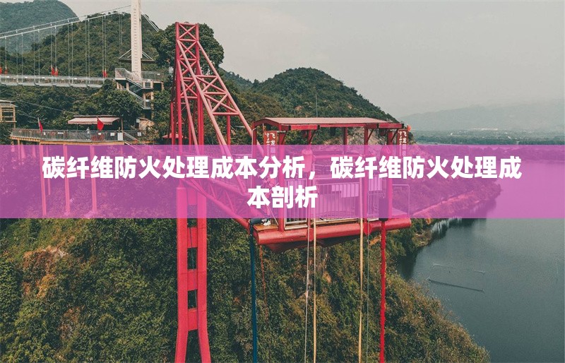 碳纖維防火處理成本分析，碳纖維防火處理成本剖析 行業(yè)新聞 第1張