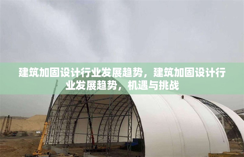 建筑加固設(shè)計(jì)行業(yè)發(fā)展趨勢，建筑加固設(shè)計(jì)行業(yè)發(fā)展趨勢，機(jī)遇與挑戰(zhàn) 行業(yè)新聞 第6張